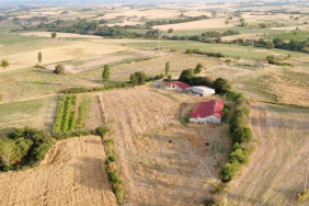Edirne Uzunköprü Kırcasalih Satılık Çiftlik